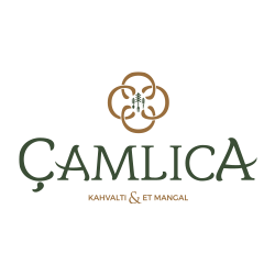 logo.png